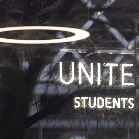 For Students Only White Rose View In *